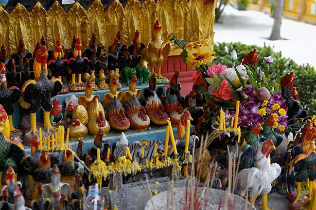 Talin chan-NOV13-122